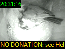 20:31:16