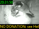 20:31:50