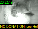 20:32:19