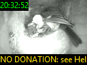 20:32:52