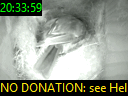 20:33:59