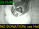 20:35:06