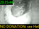 20:35:44