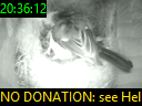 20:36:12