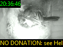 20:36:46