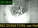 20:38:02