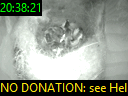 20:38:21