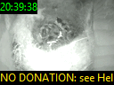 20:39:38