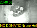 20:40:58