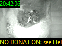 20:42:06