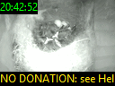 20:42:52