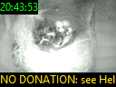 20:43:53