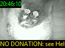 20:46:10
