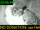 20:46:44