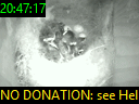 20:47:17