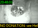 20:48:03