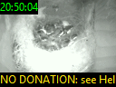 20:50:04