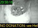 20:50:18