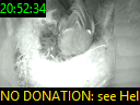20:52:34