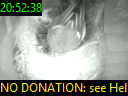 20:52:38