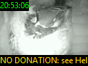 20:53:06