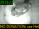 20:53:22