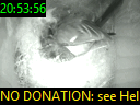 20:53:56