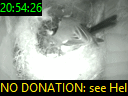 20:54:26