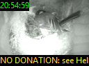 20:54:59