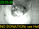 20:55:38