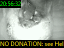 20:56:32