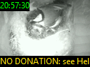 20:57:30