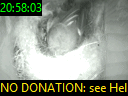 20:58:03