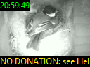 20:59:49