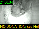 21:00:34