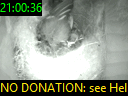 21:00:36