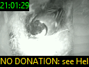 21:01:29