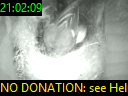 21:02:09