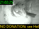 21:02:25