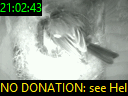 21:02:43
