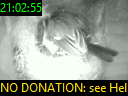 21:02:55