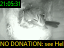 21:05:31