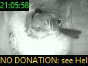 21:05:58