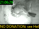 21:06:29
