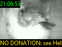 21:06:53