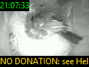 21:07:33