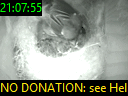 21:07:55
