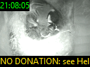 21:08:05
