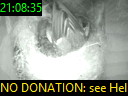 21:08:35