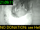 21:09:11